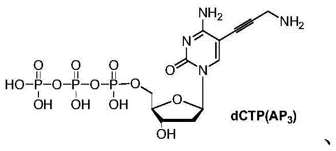 Structure of dCTP(AP3) representing the final triphosphate product used in DNA sequencing
