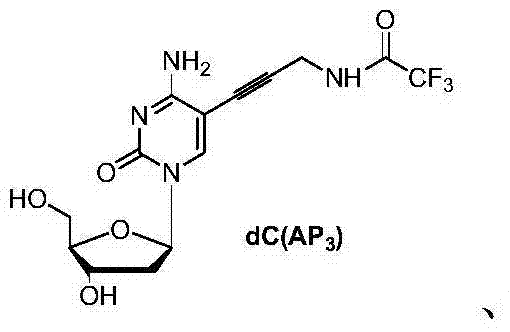 Chemical structure of dC(AP3) showing the propargylamine modification on the cytidine base via Sonogashira coupling