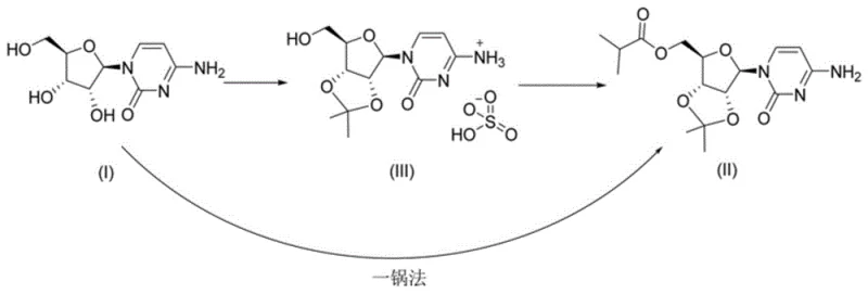 Schematic representation of the one-pot mechanism bypassing the unstable sulfate intermediate
