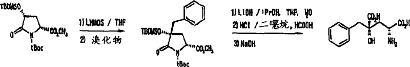 Example synthesis of 4-hydroxy-4-benzylglutamic acid demonstrating high stereoselectivity