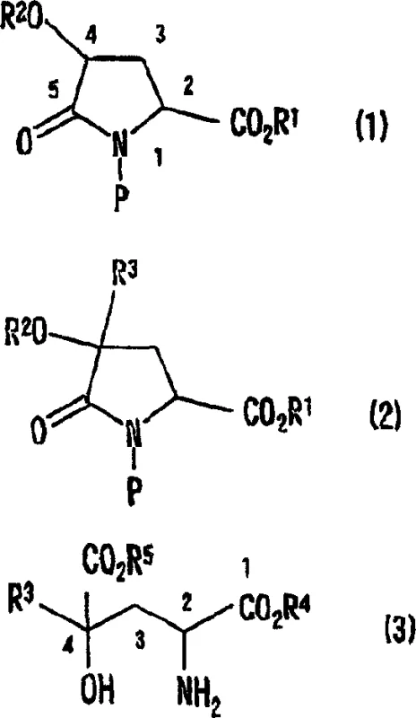 General reaction scheme showing alkylation of 4-protected hydroxypyroglutamic acid derivative