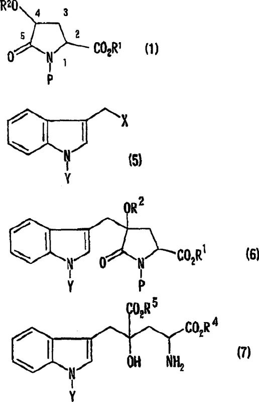 Synthesis route of Monatin derivative via alkylation of 4-protected hydroxypyroglutamic acid