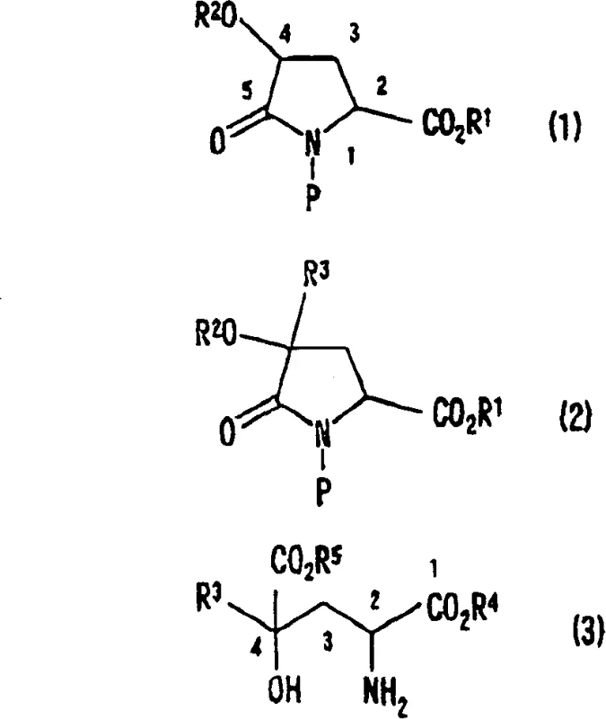 General chemical structures of the 4-protected hydroxypyroglutamic acid derivatives and their alkylation products