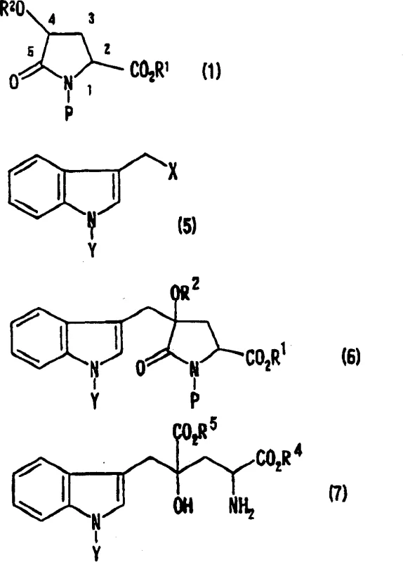 Reaction scheme showing the conversion of N-protected halomethylindole and protected pyroglutamic acid to Monatin derivatives