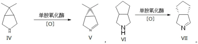 Reaction scheme showing the monoamine oxidase catalyzed desymmetry oxidation of azacyclic compounds to chiral imines