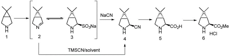 Complete synthetic route from substrate to final methyl ester intermediate showing enzymatic oxidation and downstream chemical steps