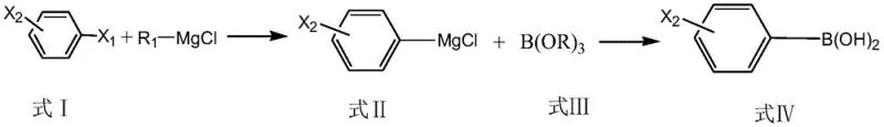 Reaction scheme showing the conversion of dihalobenzene to monohalophenylboronic acid via Grignard exchange and borate esterification