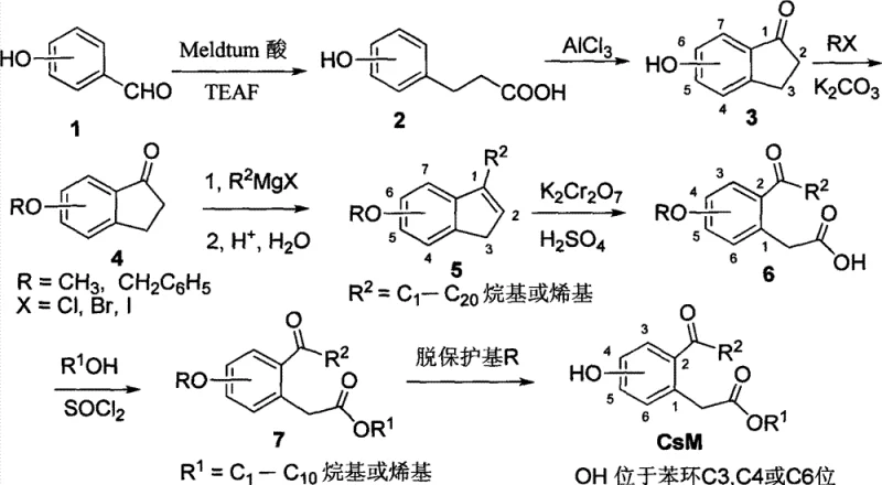 Complete synthetic route for Monohydroxy-2-acylphenylacetate showing key intermediates and reaction conditions