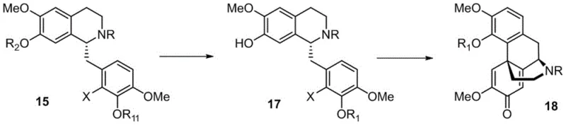 Synthetic route for Compound 18 via Intramolecular Oxidative Dearomatization Heck Reaction