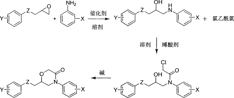 General reaction scheme showing the three-step synthesis from epoxide and aniline to morpholinone derivative