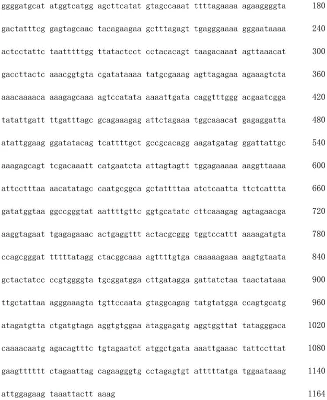 Comparative Conversion Efficiency of Mutant vs Wild-Type Alanine Racemase