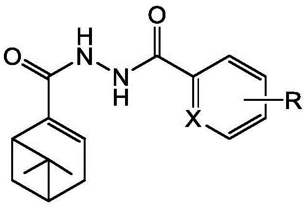 General chemical structure of myrtenal-based diacylhydrazide compounds showing variable substituents