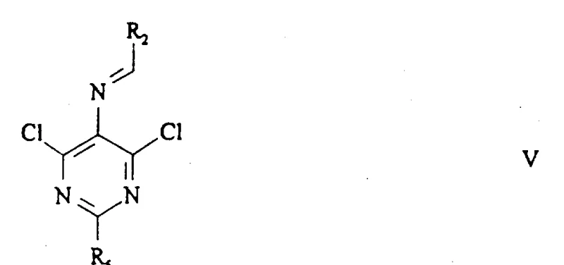 General formula V showing the chlorinated pyrimidine intermediate with variable R groups formed during the chlorination step