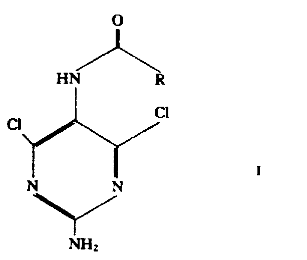 Final chemical structure of N-5-protected 2,5-diamino-4,6-dichloropyrimidine showing the dichloro substitution pattern