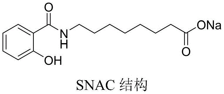 Chemical structure of SNAC sodium salt showing the amphiphilic nature crucial for membrane permeation
