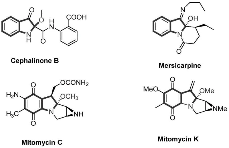 Chemical structures of natural products containing C2-oxygenated indole motifs like Mitomycin C and Cephalinone B