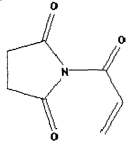 Chemical structure of N-acryloyl succinimide showing the imide ring and reactive acryl group