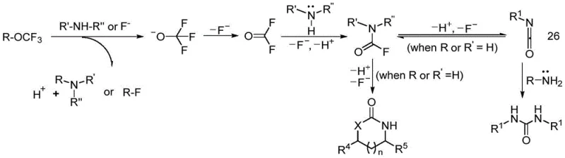 Mechanism diagram showing decomposition of R-OCF3 to fluorophosgene and subsequent reaction with amines