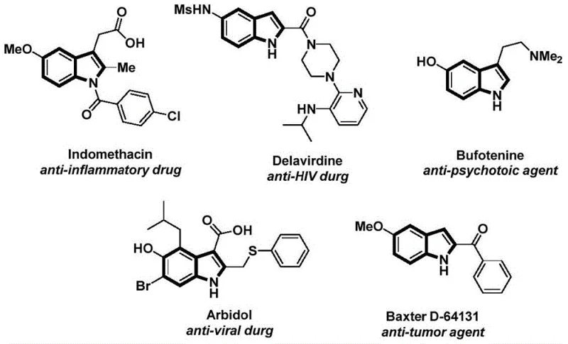 Examples of bioactive indole-containing drugs including Indomethacin, Delavirdine, and Bufotenine