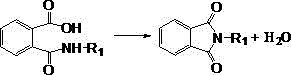 Dehydration ring-closure reaction mechanism converting amic acid to N-alkyl phthalimide with water elimination