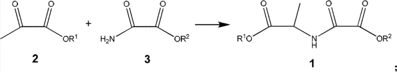 Reductive amination reaction scheme converting pyruvic acid ester and oxamic acid ester to N-alkyloxy oxalyl alanine ester