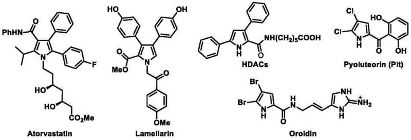 Representative bioactive molecules containing pyrrole units such as Atorvastatin and Lamellarin