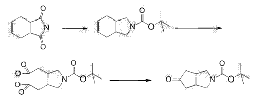 Synthetic route comparison showing the novel tetrahydrophthalimide pathway versus conventional alkyne methods