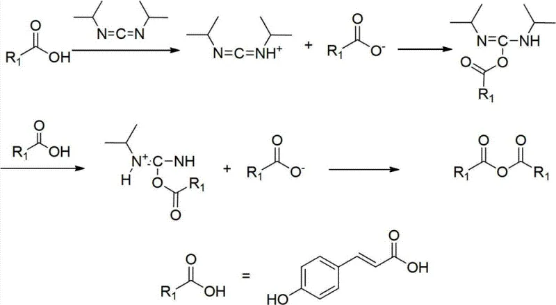 Mechanism of 4-hydroxycinnamic acid activation via DIC self-condensation