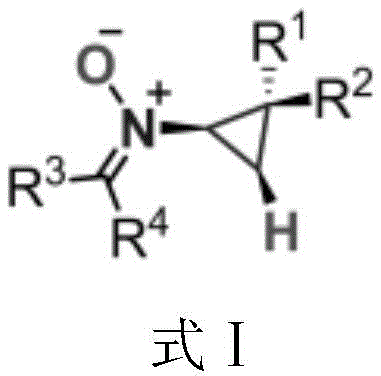 General structural formula of N-cyclopropyl nitrone derivatives showing variable R groups
