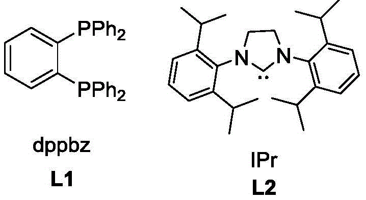 Chemical structures of ligands dppbz (L1) and IPr (L2) used in the copper catalysis
