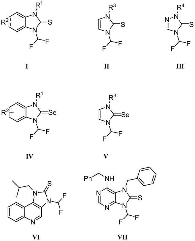General structural formulas of N-difluoromethyl azole thiourea and selenourea derivatives showing diverse substitution patterns