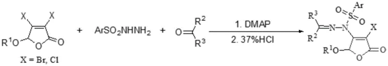 Reaction scheme showing one-pot synthesis using DMAP and HCl catalysts