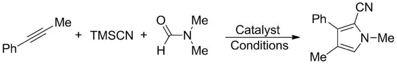 Specific reaction equation used in experimental examples