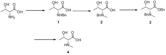 Four-step synthetic route for N-methyl-D-threonine involving reductive amination, N-methylation, esterification, and hydrogenolysis
