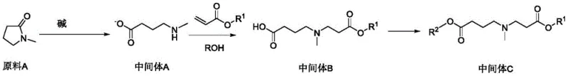 General synthetic route showing alkaline hydrolysis and ethyl ester formation
