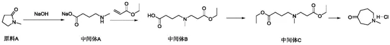 Detailed synthesis steps for Example 1 showing reagents and conditions