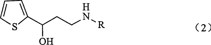 Chemical structure of the final product N-monoalkyl-3-hydroxy-3-(2-thienyl)propylamine (Formula 2)