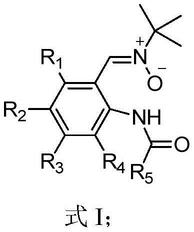 General structural formula of N-nitrone substituted aromatic amide derivatives showing adjacent functional groups