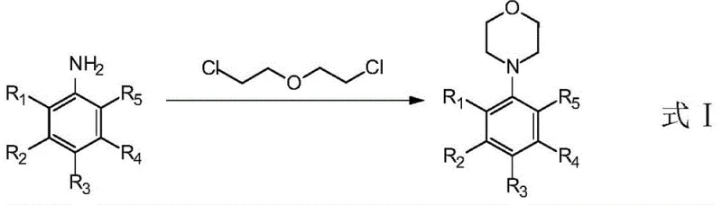 General reaction scheme for synthesizing substituted N-phenyl morpholine compounds using 2-chloroethyl ether and substituted aniline