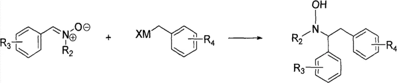 Three-step general synthesis route showing nitrone formation, Grignard addition, and reduction