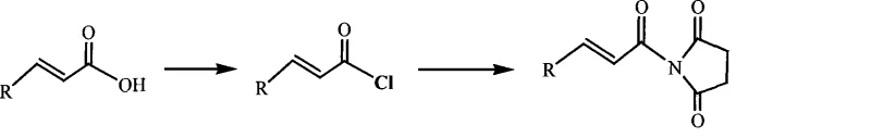 General reaction scheme showing the conversion of substituted alpha,beta-unsaturated acid to N-substituted acryloyl-2,5-pyrrole-dione via acyl chloride intermediate