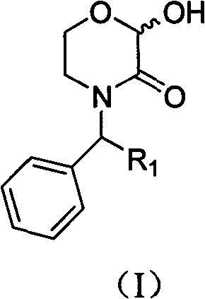 General chemical structure of N-substituted 2-hydroxy-morpholin-3-one compounds used as pharmaceutical intermediates
