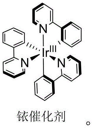Chemical structure of the Iridium photocatalyst used in the synthesis
