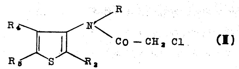 Chemical structure of Formula III N-(thiophen-3-yl)-chloroacetamide herbicide intermediate