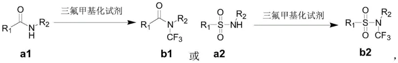 General reaction scheme for the synthesis of N-trifluoromethyl amides and sulfonamides