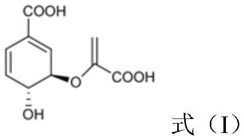 Chemical structure of Chorismate (Formula I) as the starting substrate