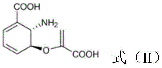 Chemical structure of Aminodeoxyisochorismate (Formula II) intermediate