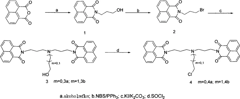 General synthesis route of naphthalimide derivatives starting from naphthalic anhydride
