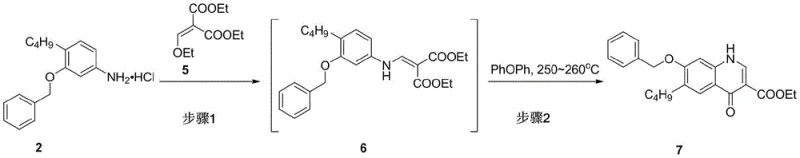 Detailed reaction steps for the preparation of Compound 7 involving condensation and cyclization