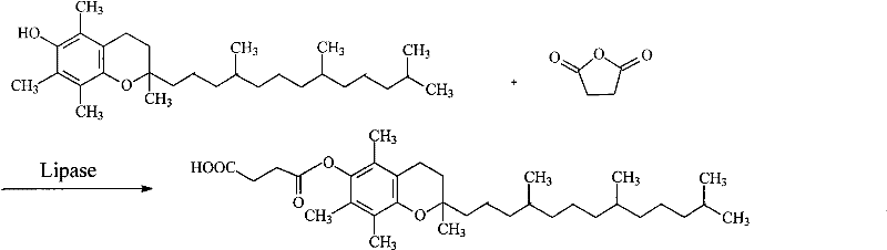 Reaction scheme showing lipase-catalyzed esterification of natural alpha-tocopherol with succinic anhydride to form alpha-tocopheryl succinate